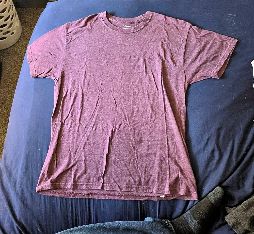 Hanes Purple Short Sleeve Tee